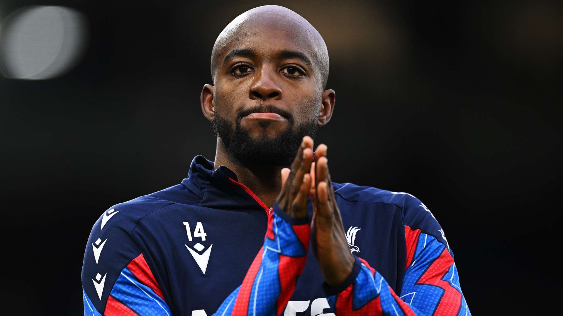 裁判的庆祝 裁判的庆祝